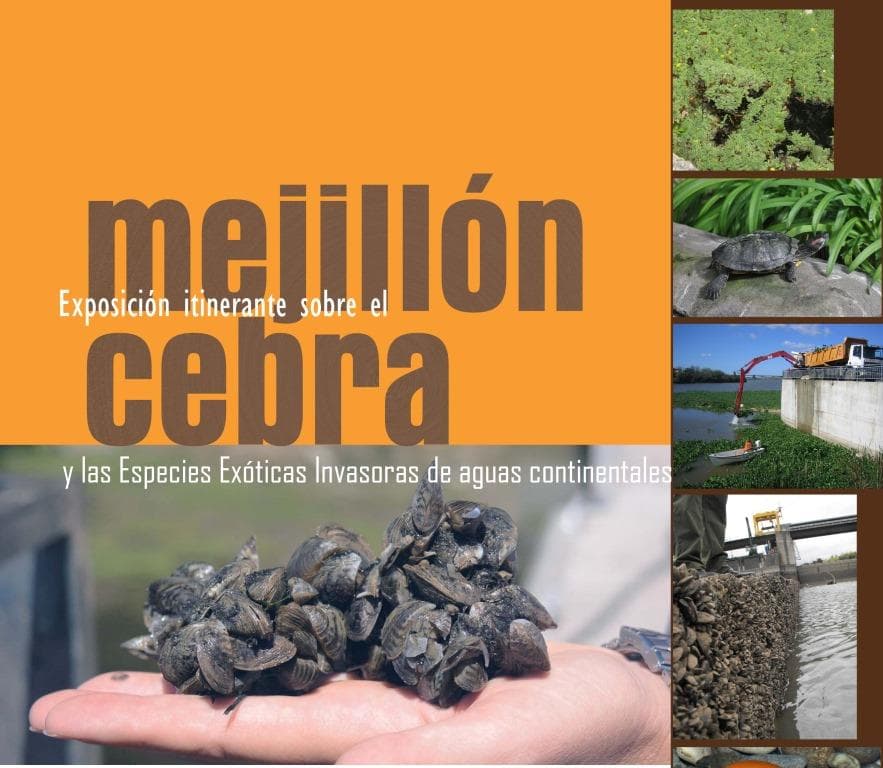 Exposición itinerante sobre mejillón cebra y especies invasoras en Alloz, Navarra