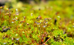 Jornada «Eficiencia hídrica y energética en el regadío»