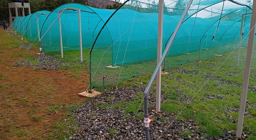 Perú crea el «Fondo de agua Cuenca Verde» en la cuenca Chancay Lambayeque