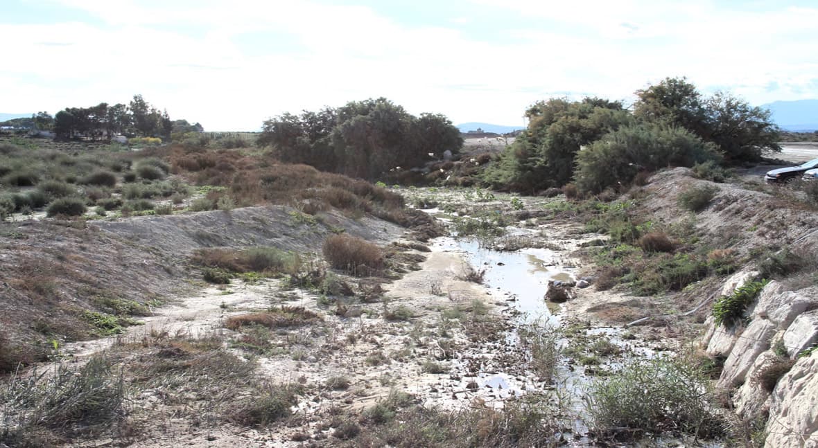 La CHS somete a información pública las fincas afectadas por la restauración en Morcillo y Mendoza