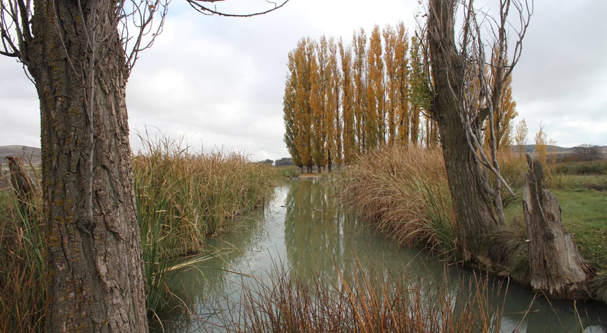 La CHS elimina las restricciones al regadío tradicional en la UTE IV