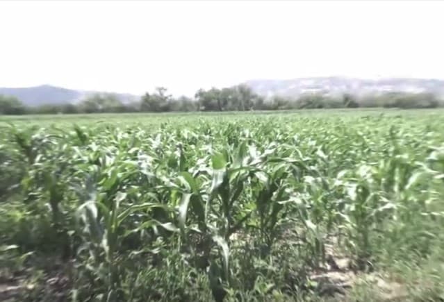 El Salvador podría registrar una sequía leve en los próximos meses pese a las lluvias