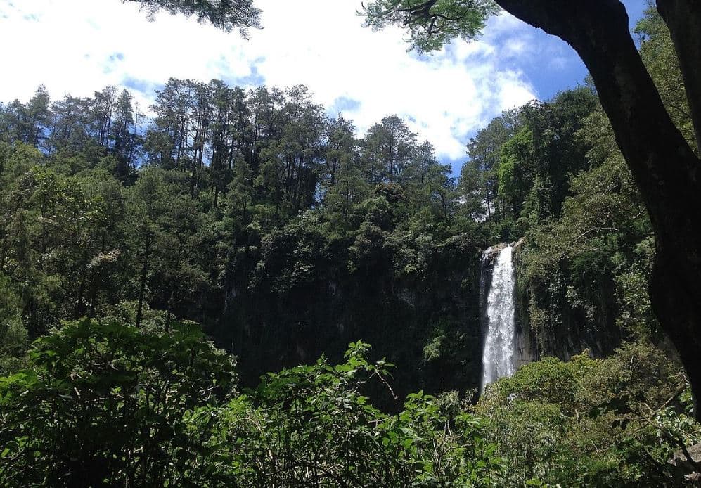 La sequía incrementa el riesgo de incendios forestales en Indonesia