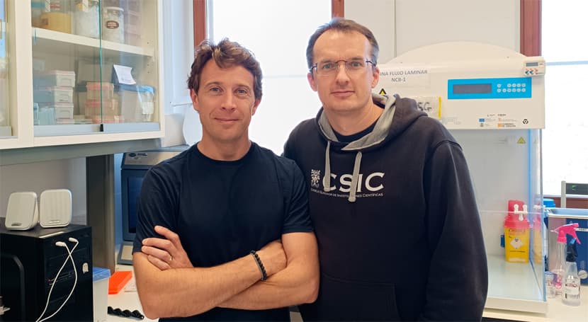 INMA desarrolla membranas biocatalíticas eliminar microplásticos depuradoras