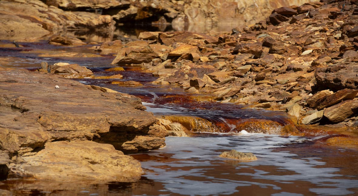 Desentrañan cómo los ecosistemas con fases húmeda y seca mantienen sus funciones