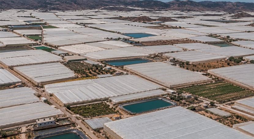 Andalucía inicia trámites constituir comunidad usuarios acuífero Níjar
