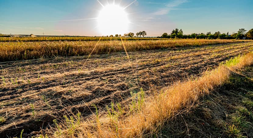 Confirman que el verano de 2022 fue el más caluroso en España en los últimos 700 años