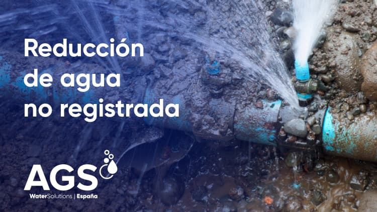 Servicios Integrales de Reducción de Agua no Registrada