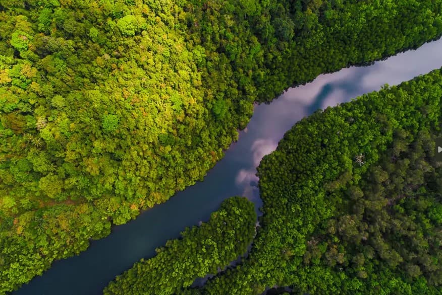 Sabesp, BID Invest y PROPARCO aseguran agua limpia y saneamiento para 400.000 hogares brasileños